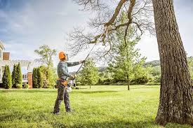 Naples, UT Tree Removal Company
