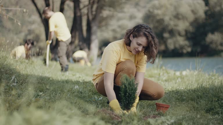 Lawn Maintenance Plans in Naples, UT