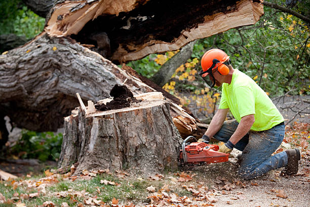 Mulching Services in Naples, UT